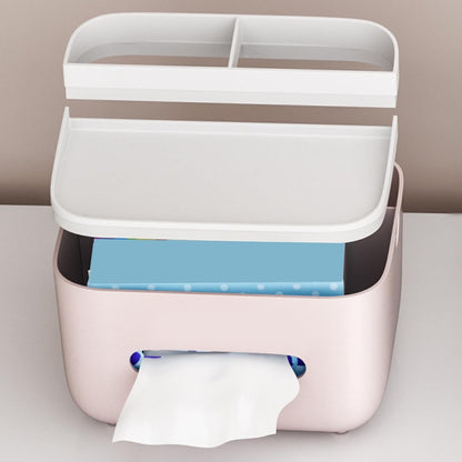 Meridian "Centra" Multifunctional Tissue & Tech Vault