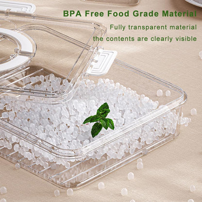 Dry Fruit Box Rectangle