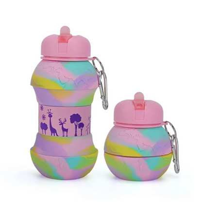 Silicone Collapsible Water Bottle - 550 ML